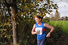 15439213950_c3d45e071d_m