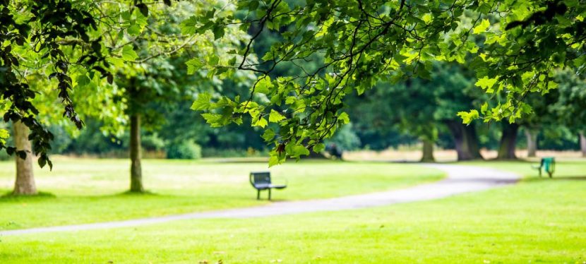 Seniors’ Endurance Training w/c 14th&nbsp;Sept