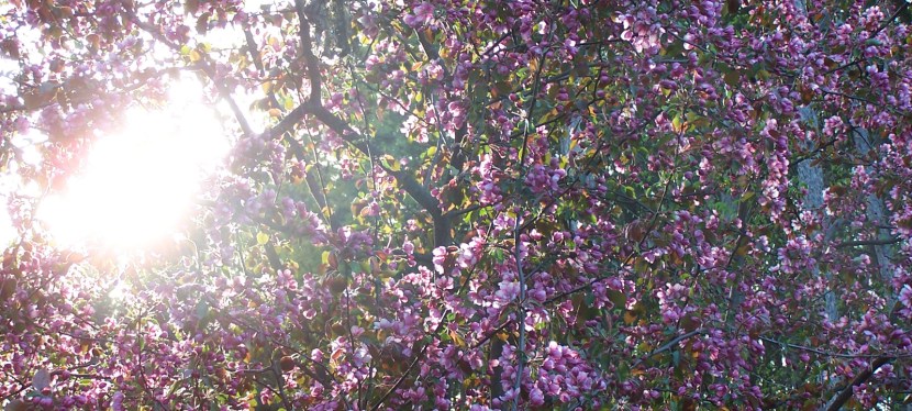 Seniors’ Endurance Training w/c 5th&nbsp;April