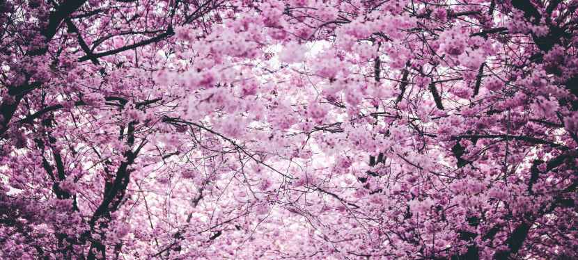 Seniors’ Endurance Training w/c 4th&nbsp;Jan