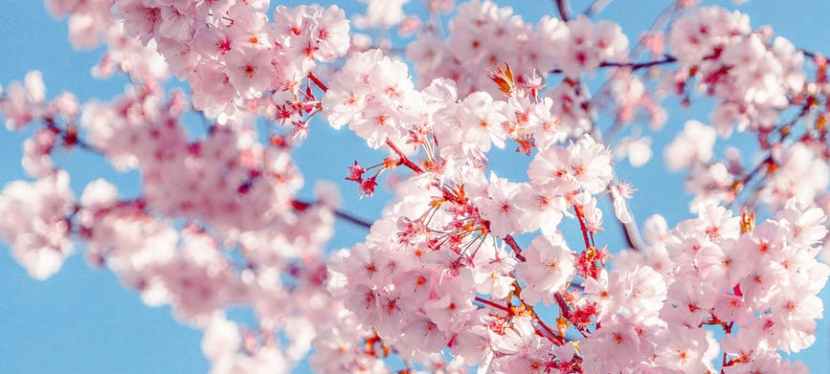 Seniors’ Endurance Training w/c 12th&nbsp;April