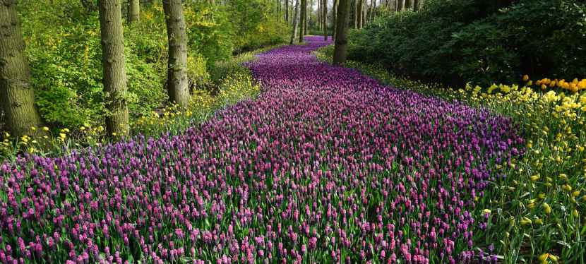 Seniors’ Endurance Training w/c 11th&nbsp;May