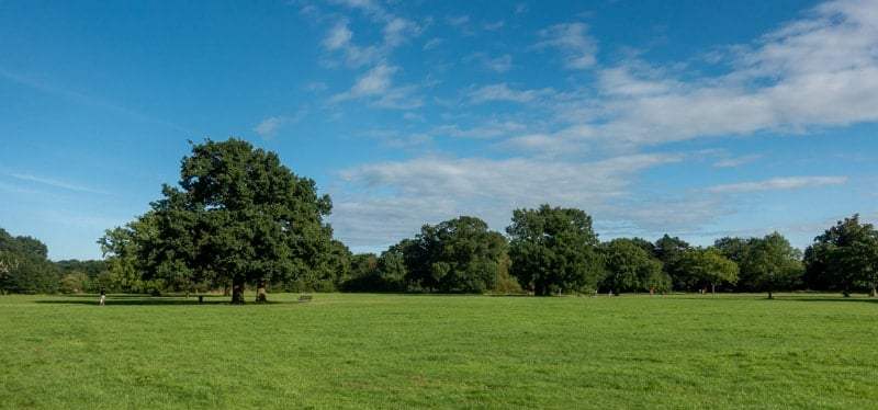 Seniors’ Endurance Training w/c 13th&nbsp;Sept