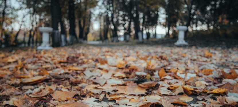 Seniors’ Endurance Training w/c&nbsp;3.10.2022