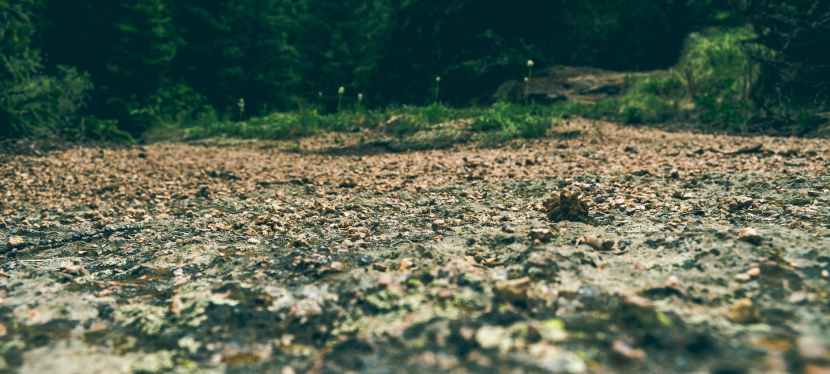 Seniors’ Endurance Training w/c 16th&nbsp;Nov