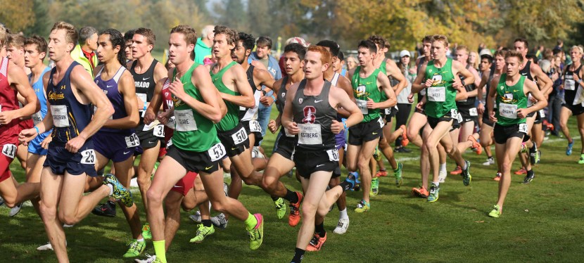 Seniors’ Endurance Training w/c&nbsp;10.10.2022