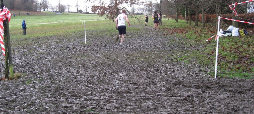 Seniors’ Endurance Training w/c 2.1.2023