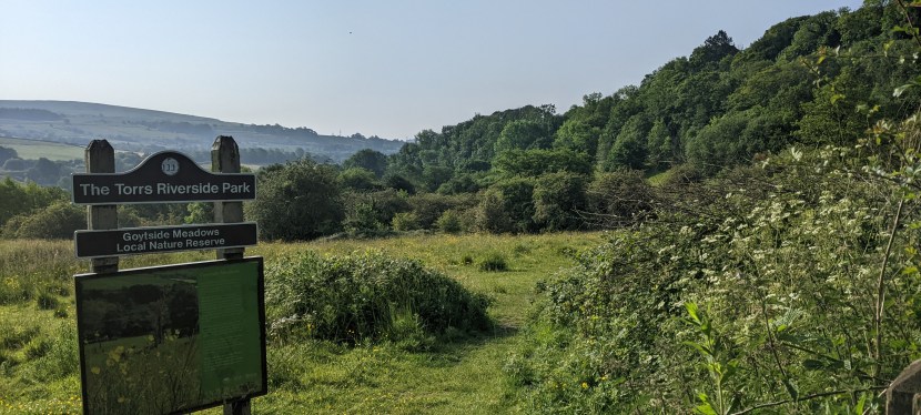 Seniors’ Endurance Training w/c&nbsp;12.6.2023