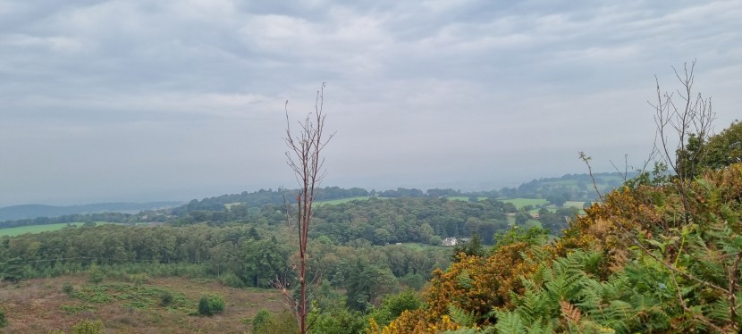 Seniors’ Endurance Training w/c&nbsp;25.9.2023