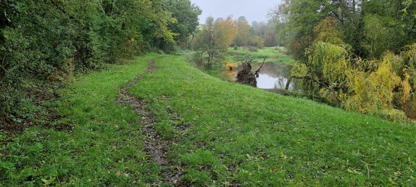 Seniors’ Endurance Training w/c&nbsp;30.10.2023