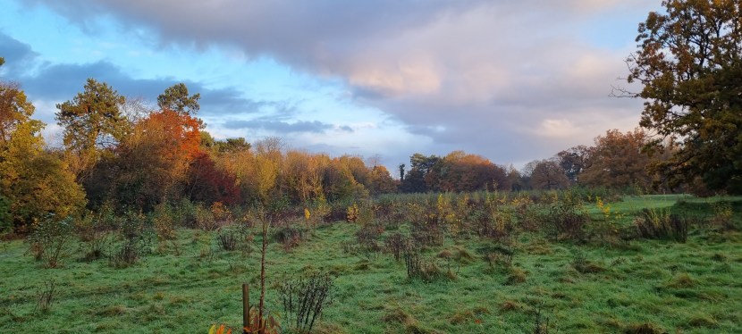 Seniors’ Endurance Training w/c&nbsp;20.11.2023