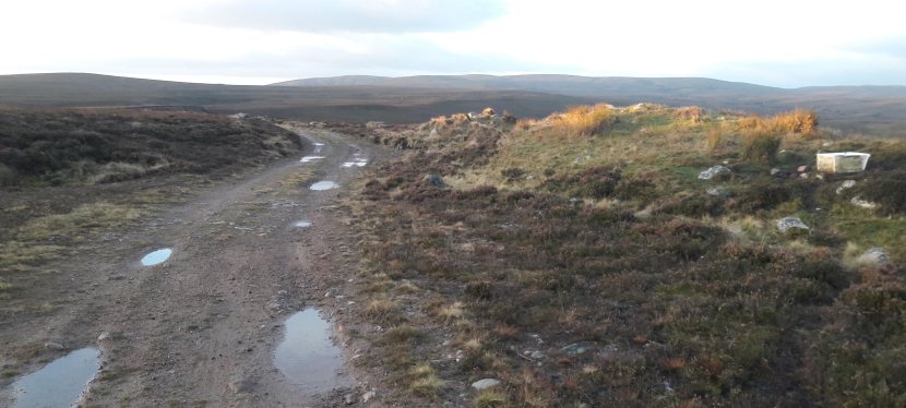 Seniors’ Endurance Training w/c&nbsp;1.7.2024