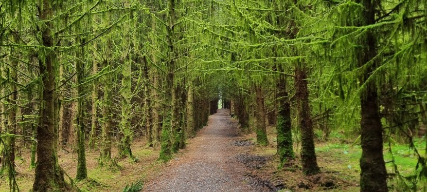 Seniors’ Endurance Training w/c&nbsp;22.7.2024