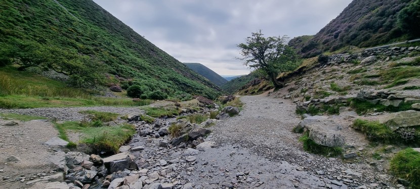 Seniors’ Endurance Training w/c&nbsp;12.8.2024