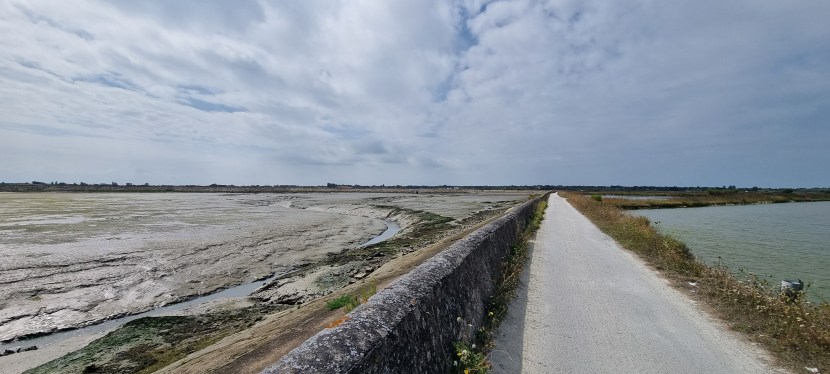 Seniors’ Endurance Training w/c&nbsp;14.4.2025