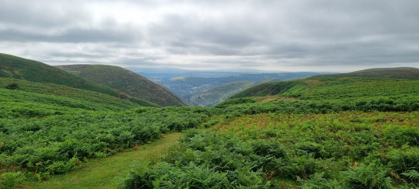 Seniors’ Endurance Training w/c&nbsp;28.10.2024