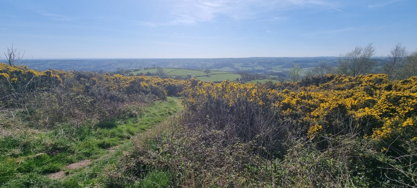 Seniors’ Endurance Training w/c&nbsp;21.4.2025