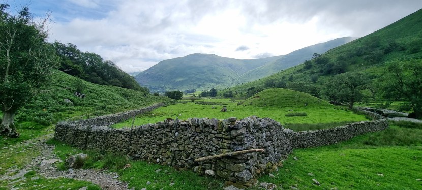 Seniors’ Endurance Training w/c 28.7.2025