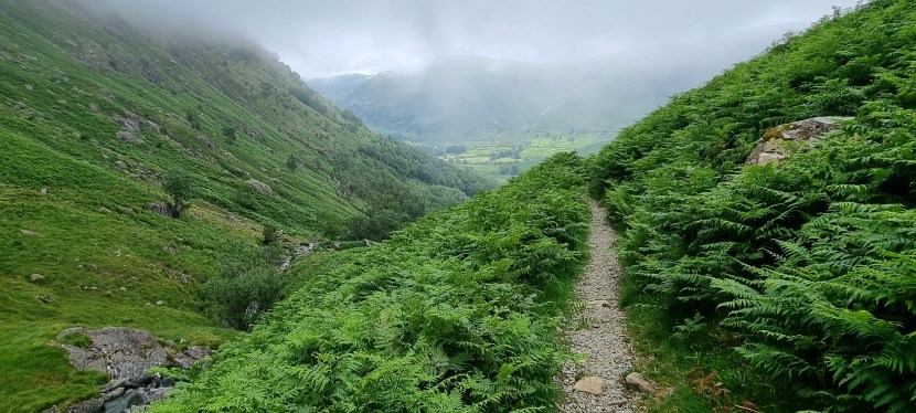 Seniors’ Endurance Training w/c&nbsp;4.8.2025