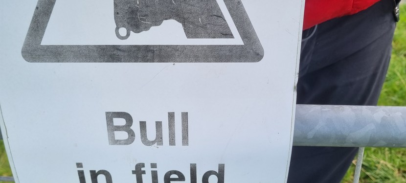 Seniors’ Endurance Training w/c&nbsp;6.10.2025