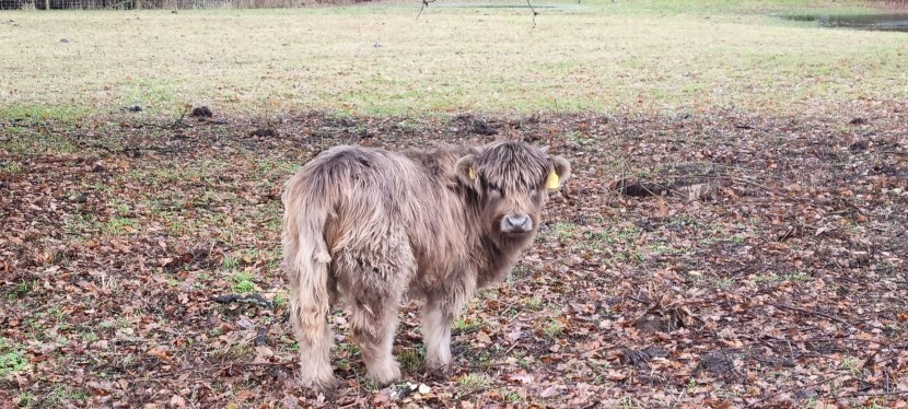 Seniors’ Endurance Training w/c&nbsp;1.12.2025